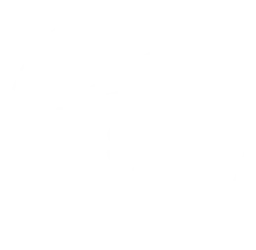 Cash Flow & Income Planning Icon