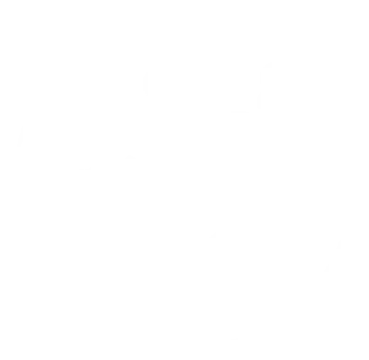 Insurance Risk Management Icon
